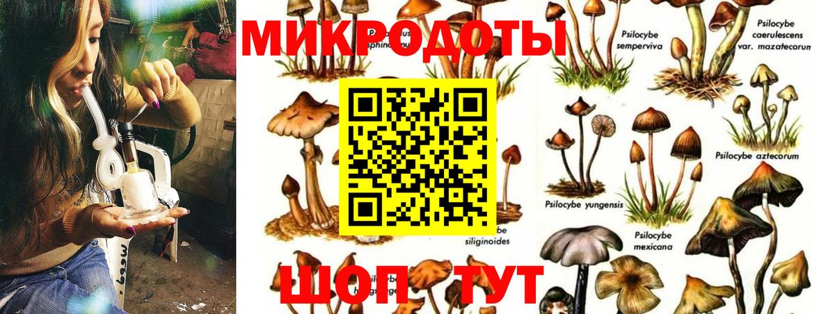 Егорьевск  цена   Вход с VPN  Галлюциногенные грибы Magic Shrooms  Псилоцибиновые грибы Psilocybe 